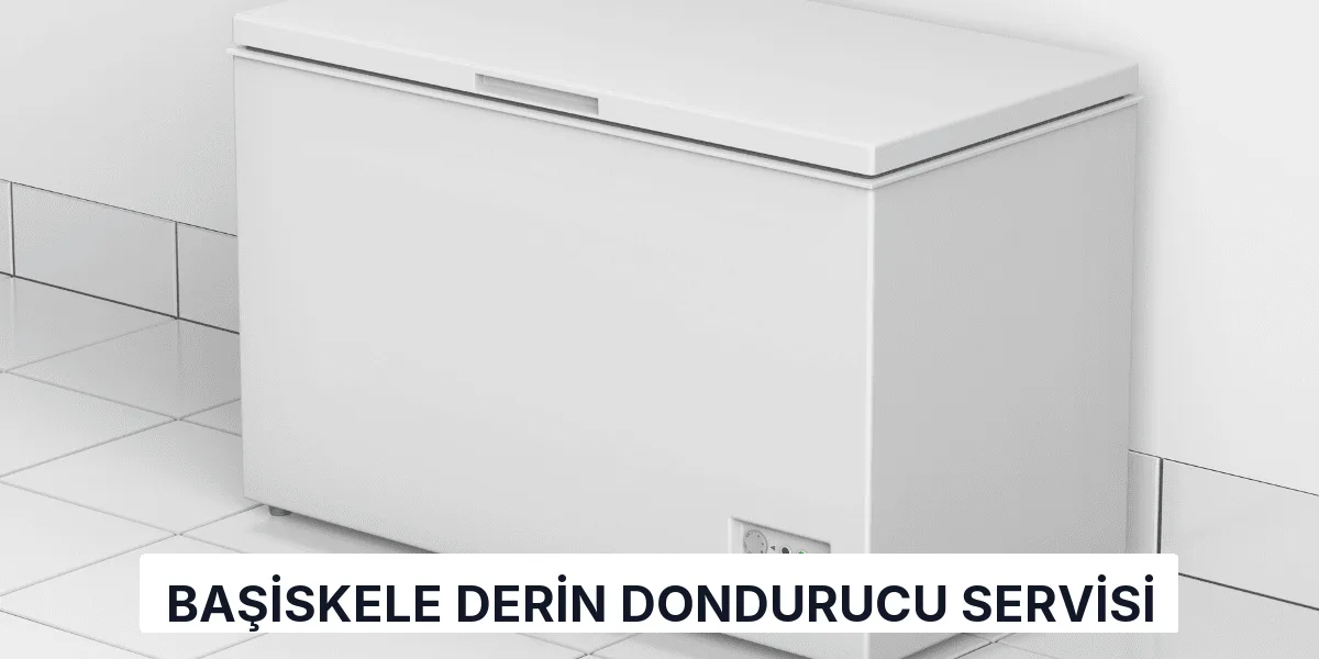 Başiskele Derin Dondurucu Servisi