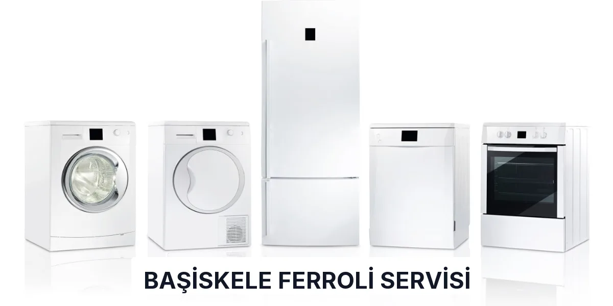 Başiskele Ferroli Servisi